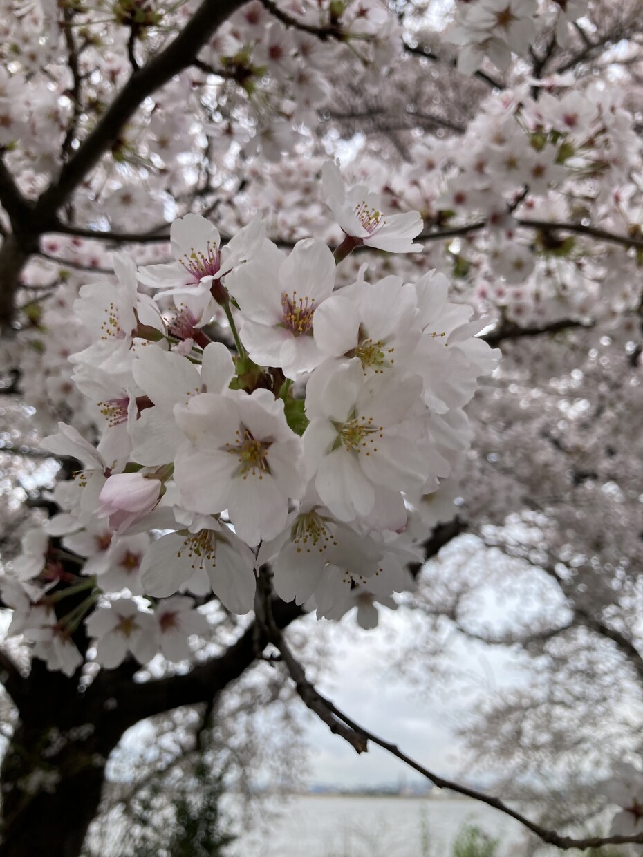 忘れられない！大好きだった人との思い出お聴きします 今でも諦めきれない！今、あの人はどう思っているのか知りたい方 イメージ5