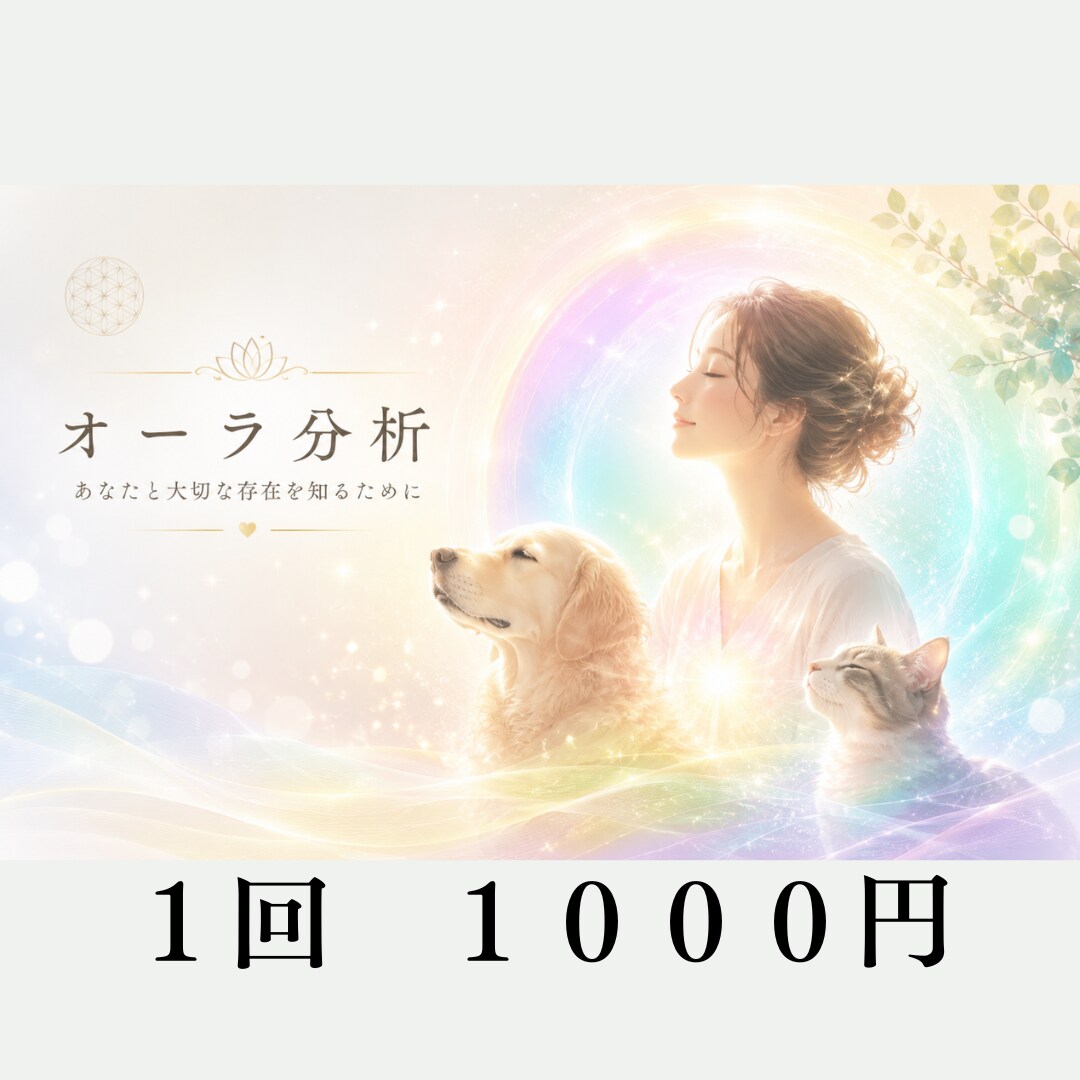 Healyによるオーラ分析をします チャクラとオーラから今を読み解きます イメージ1