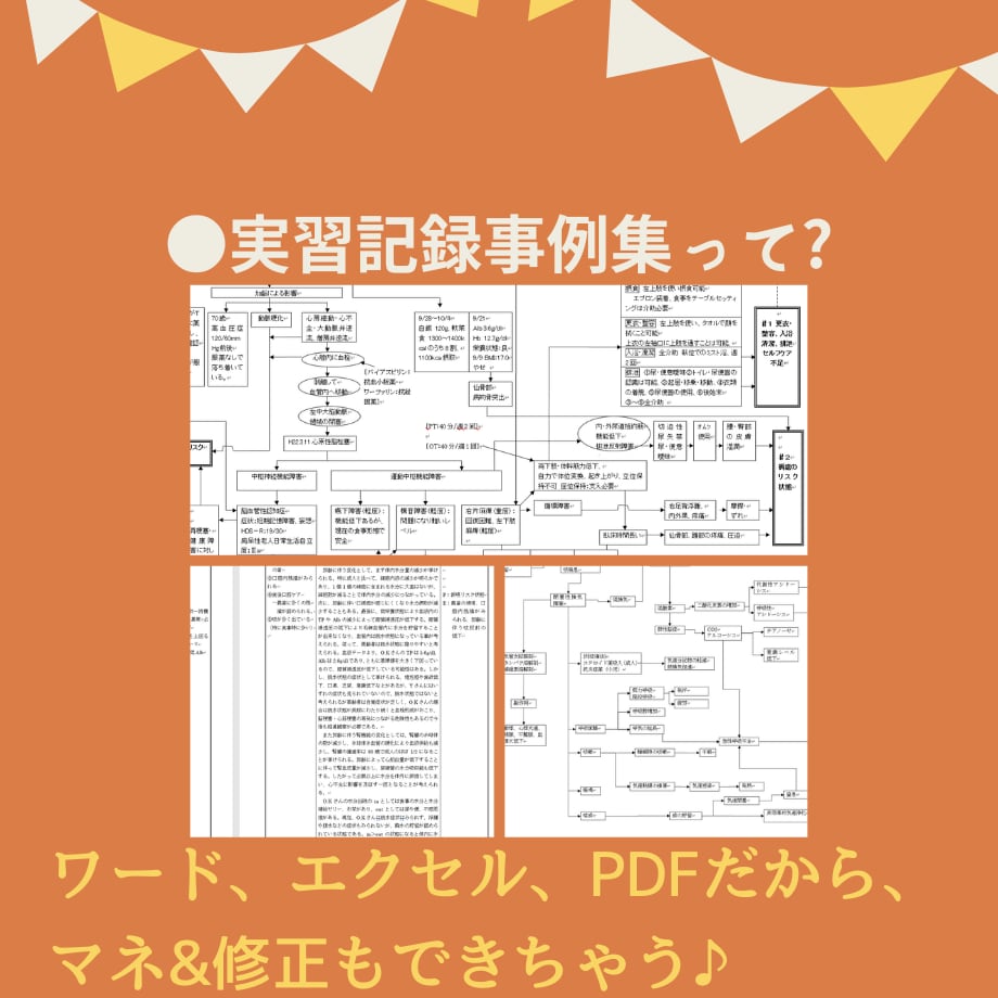 過去の看護実習記録★テンプレ★いろいろ教えますます 【すらすらパック】目標★関連図★周術期メモもあります♪ イメージ9