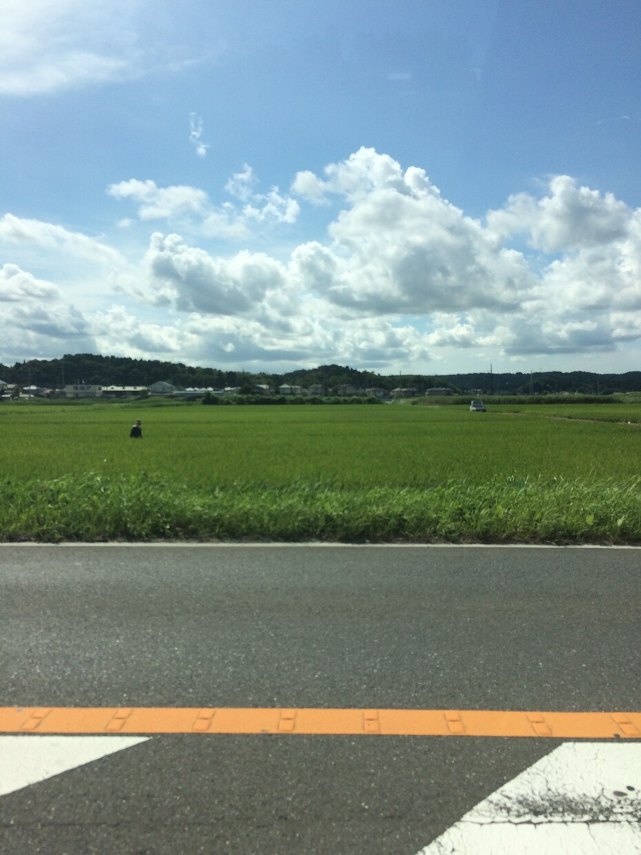 ミャンマーでの飲食進出をお考えの方なんでも答えます ミャンマーで飲食進出せたいと思っている企業様、個人様へ イメージ1