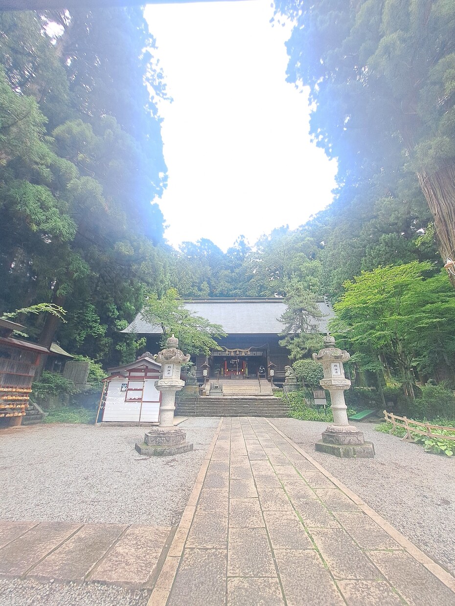 霊視にて相手の気持ちを知り楽になるお手伝い致します ⭐高次元から今必要なメッセージ届けます♡波動調整致します イメージ3