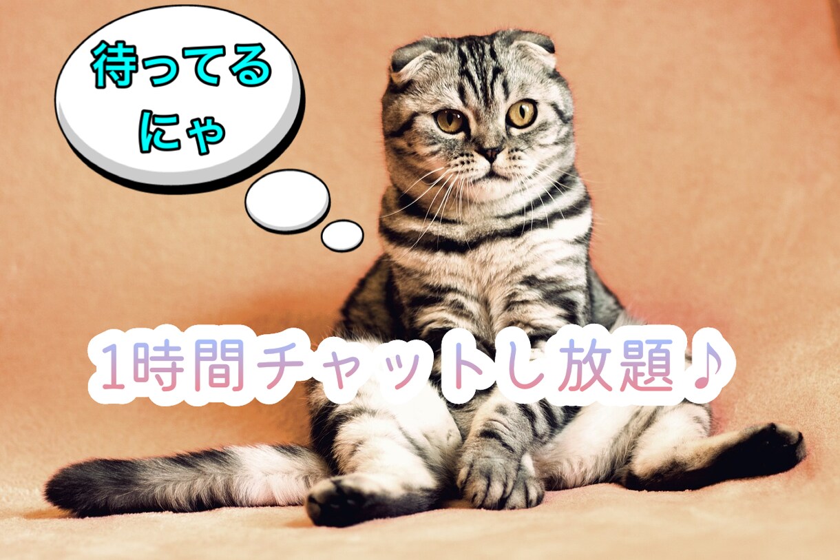 1時間チャットし放題★あなたの話し相手になります 愚痴でも雑談でも何でもどうぞ♡ イメージ1