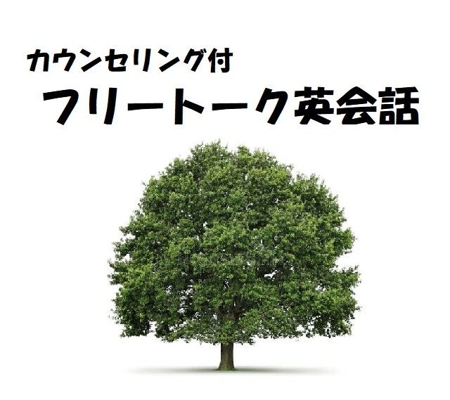 英会話「英語が出てこない」を解決します 初心者から字幕なしで映画が見たい方まで幅広く対応可能 イメージ1