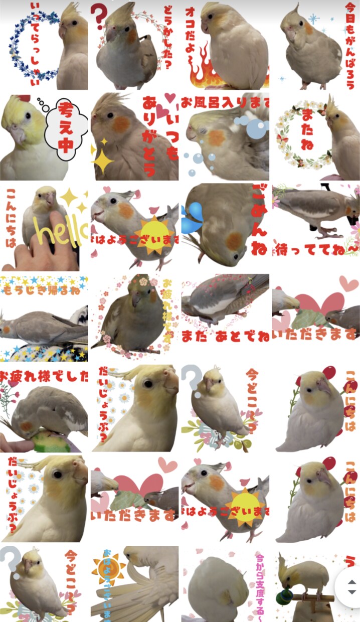 ペットの写真をかわいいラインスタンプにします ペットのオリジナルラインスタンプを低価格でお作りします イメージ4