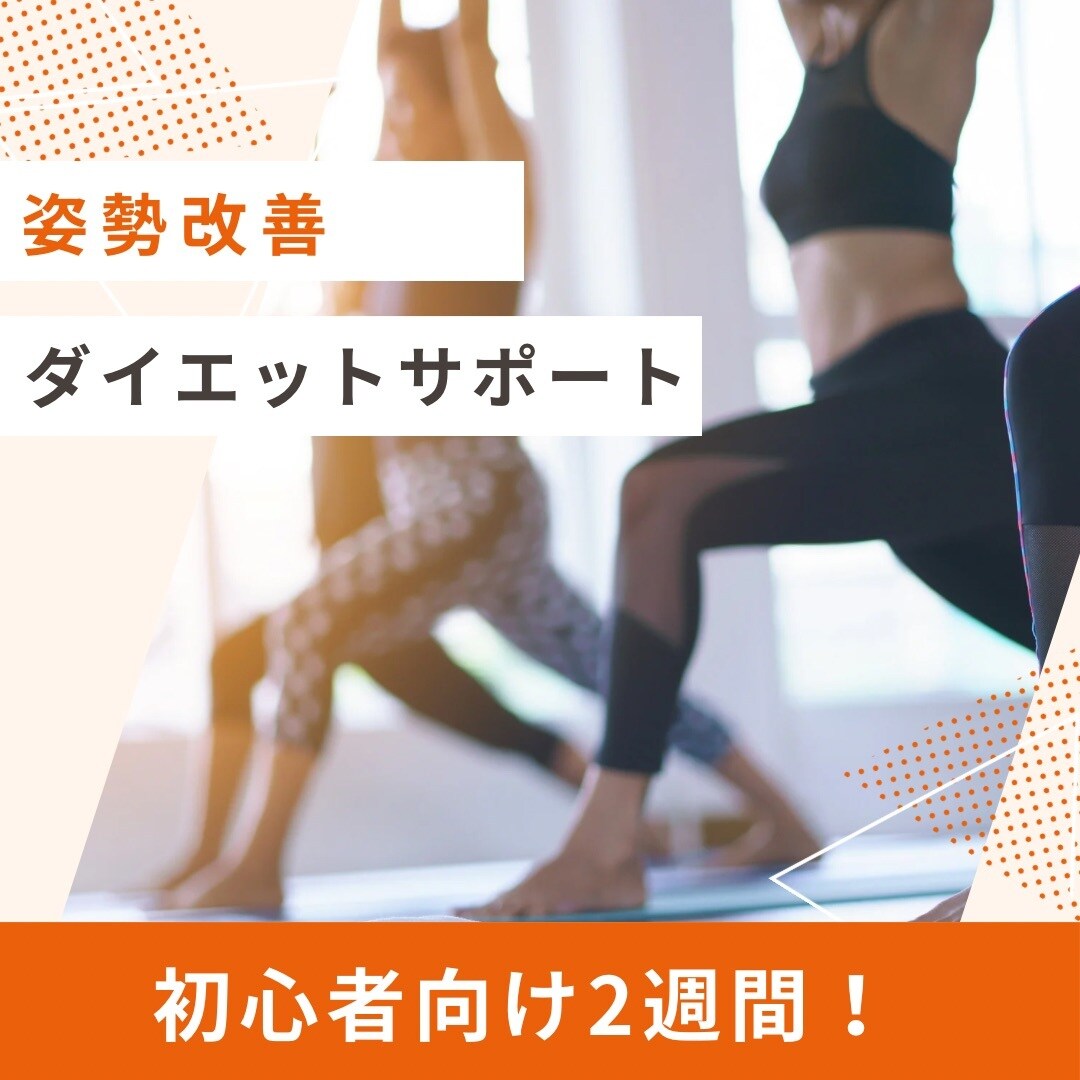 姿勢改善、ダイエット2週間サポートします 何でも質問し放題！あなただけのトレーニングサポート。 イメージ1