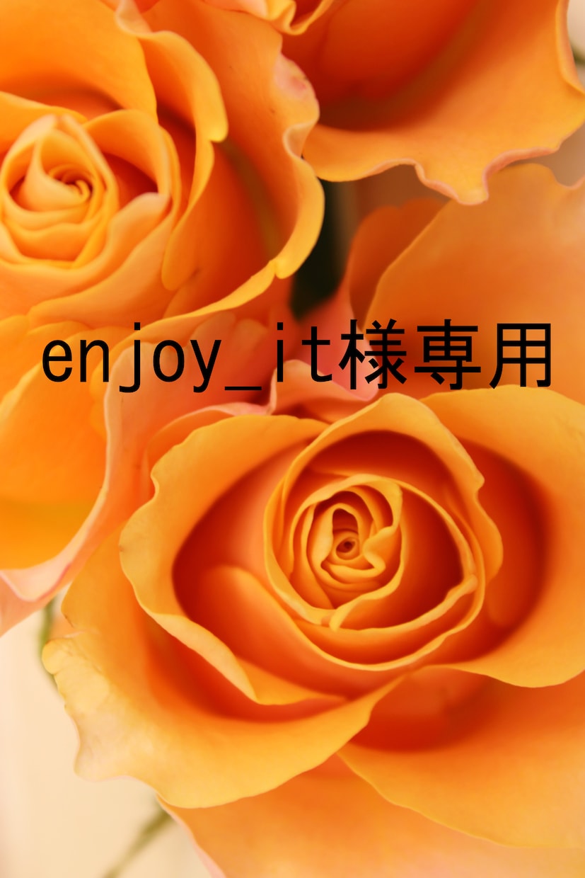 HP記事作成致します enjoy_it様専用です。他のお客様のご購入はご遠慮下さい イメージ1