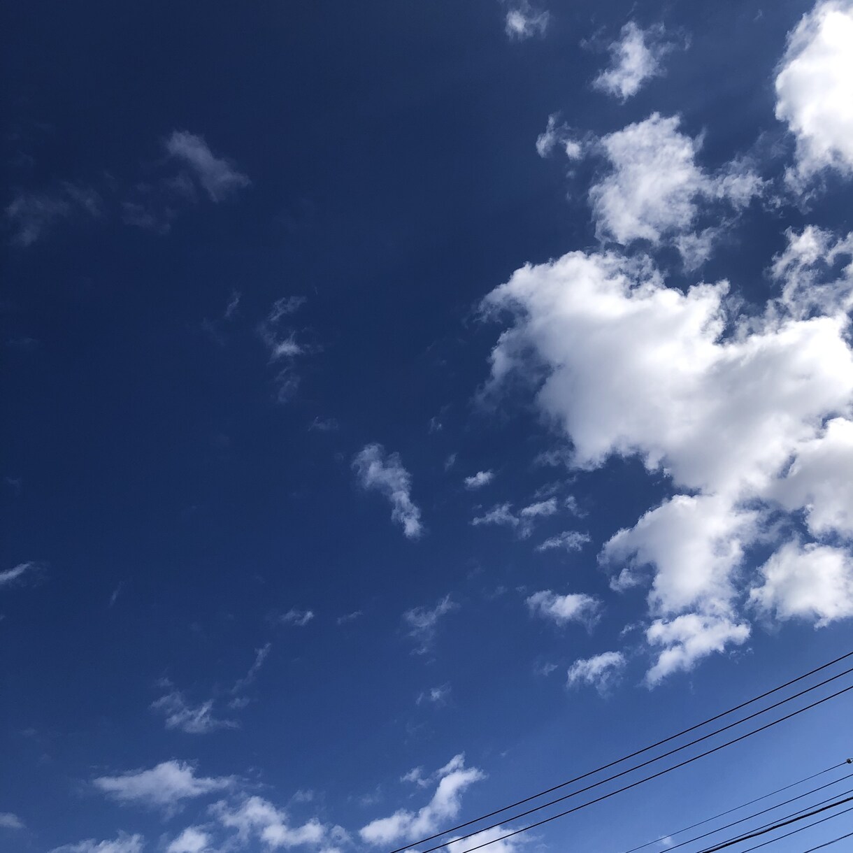 あなたに全集中☆60分間寄り添います 電話は緊張するあなたも、大丈夫♡相談・お悩み、任せて！ イメージ7