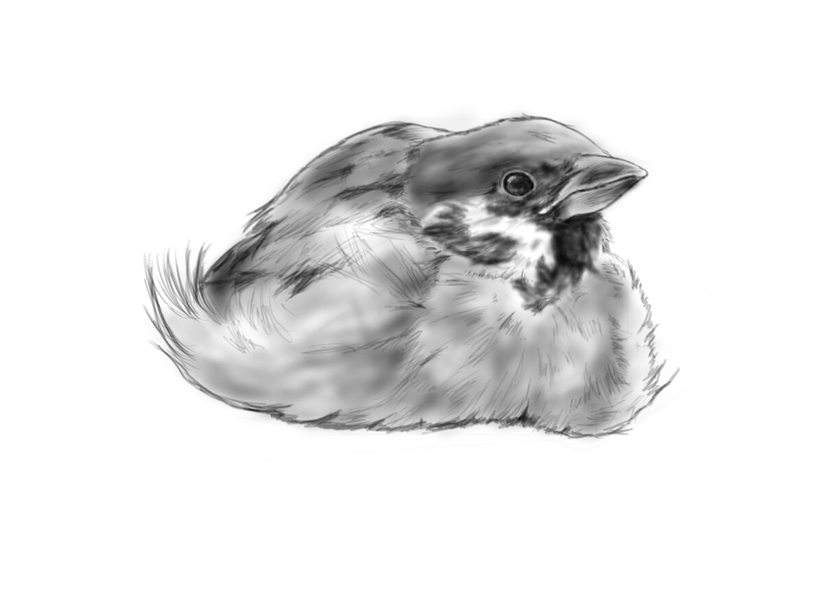 どうぶつのイラスト描きます 二次利用◎かわいいうちの子のグッズ作りませんか？ イメージ6