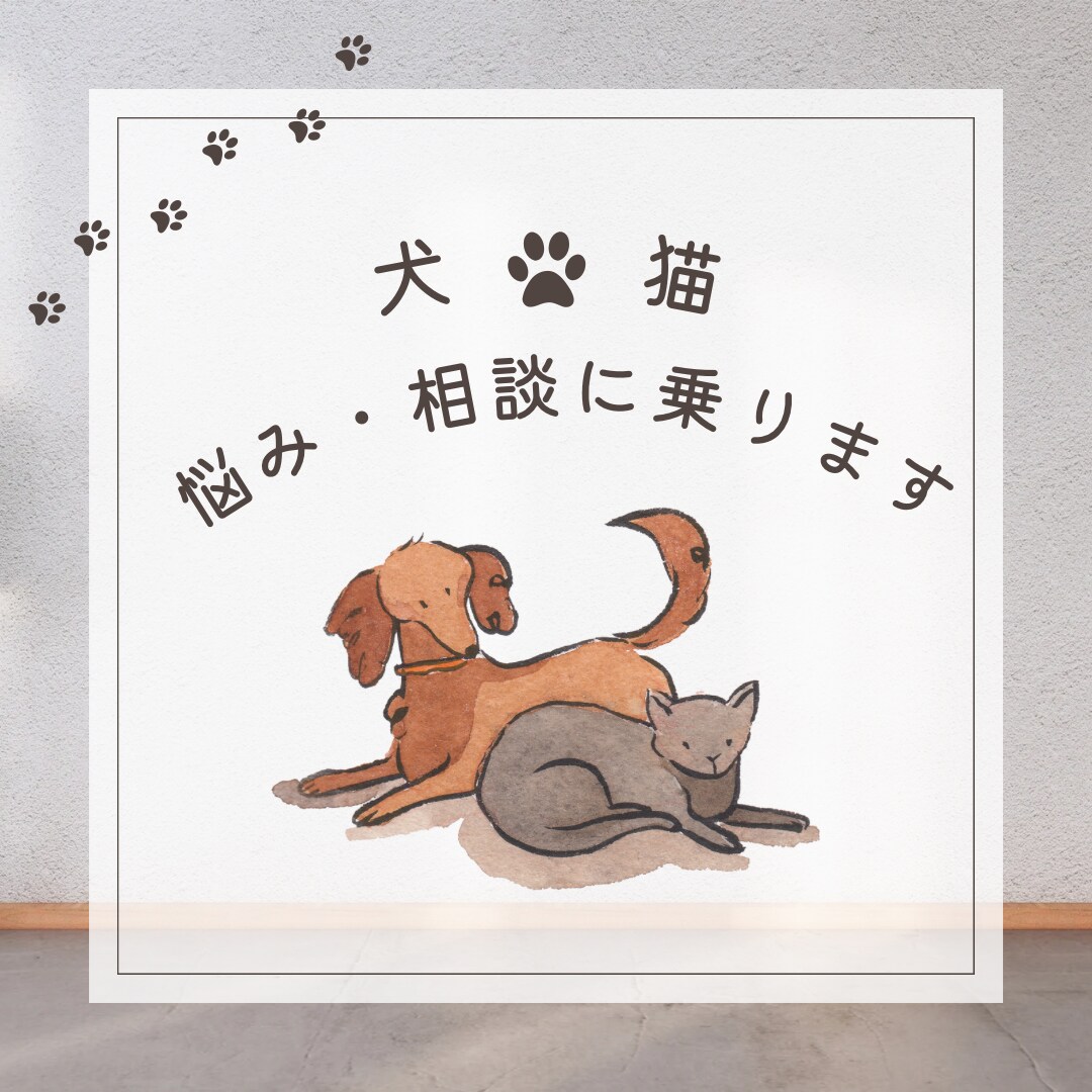 ペット薬膳管理士が相談に乗ります 犬猫さんの体質診断、食事相談、ただ悩み聞いて欲しい！も歓迎。 イメージ3