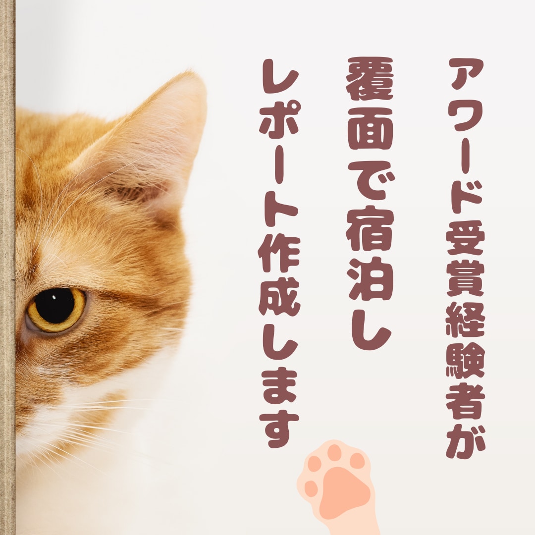 アワード受賞経験者が覆面宿泊！改善点レポートします 宿の魅力を最大化しませんか？クチコミ点数UPしたい方へ イメージ2