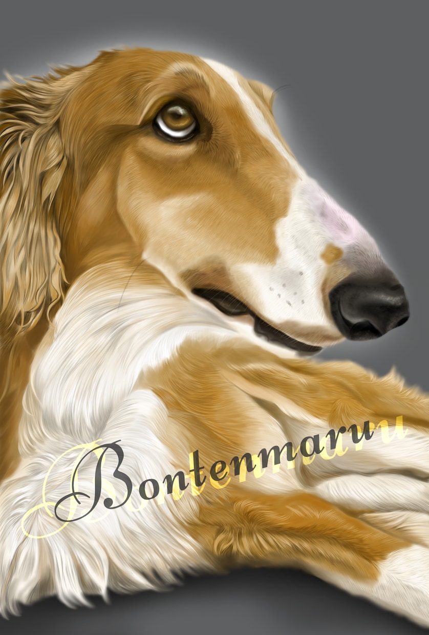愛犬、ペットの似顔絵を描きます 可愛いペットの似顔絵をリアルタッチで描いています イメージ1