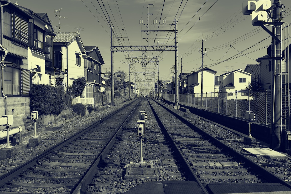 デュオトーン&ワントーンの写真加工を行います ランディングページ&ECサイトなどで活用できます。 イメージ1