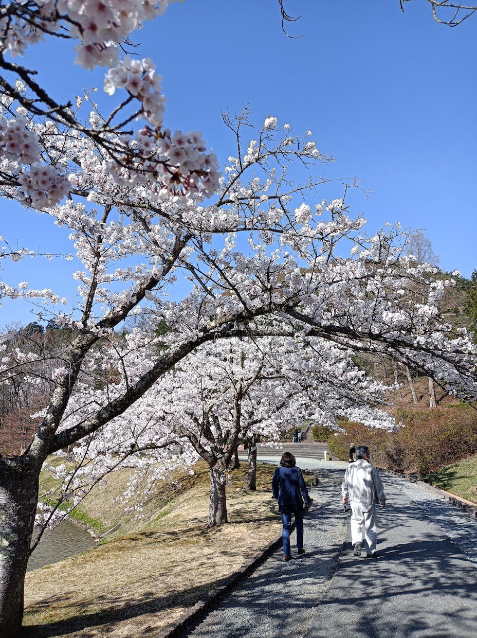 愚痴聞きからメンタルの悩みまで何でもお聴きします 辛い気持ちを吐き出して、少しでも気持ちを楽にしませんか？ イメージ3
