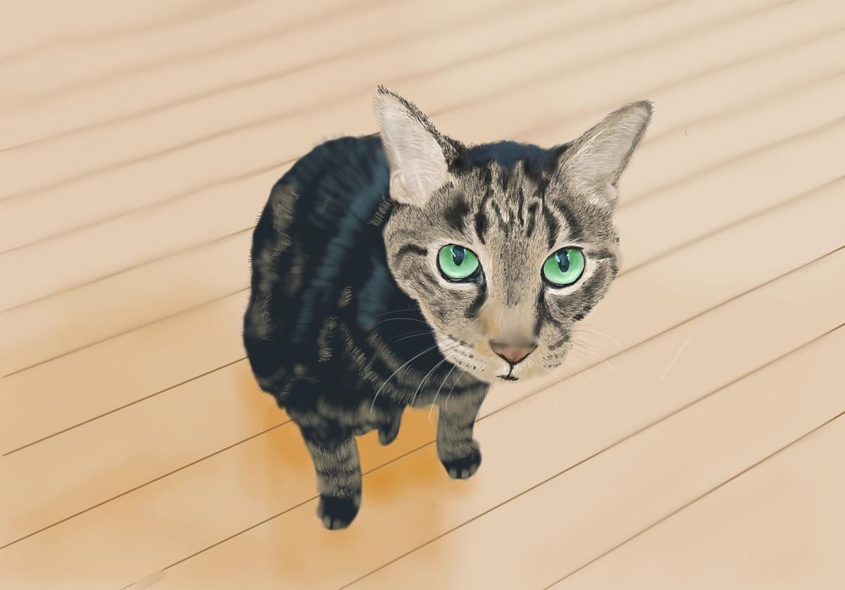 あなたのペットのイラストをトートバッグにします 大好きなペットをイラストにして、持ち歩いてみませんか？ イメージ6