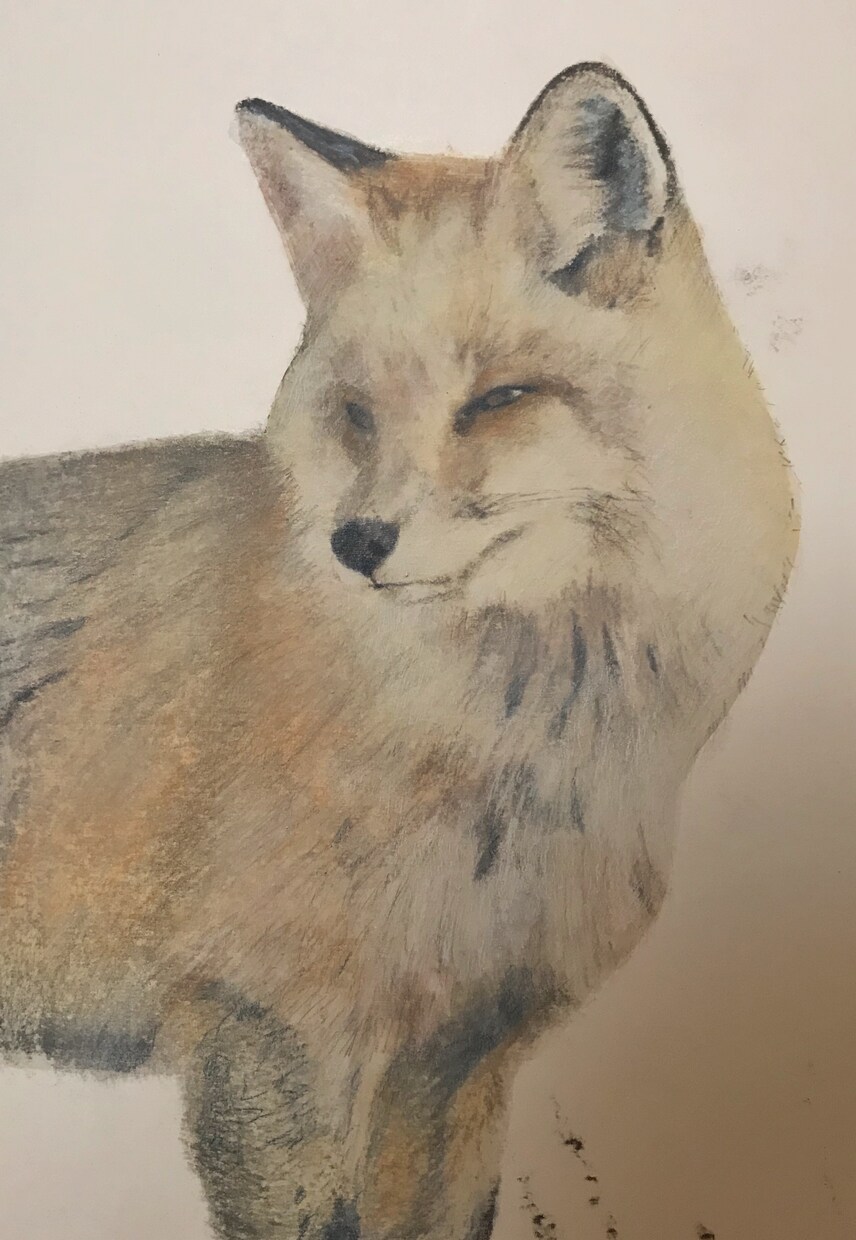 動物や人物、風景などのパステル画で描きます 写真を元に自分なりの色合いで、写実的にパステルで描きます！ イメージ4