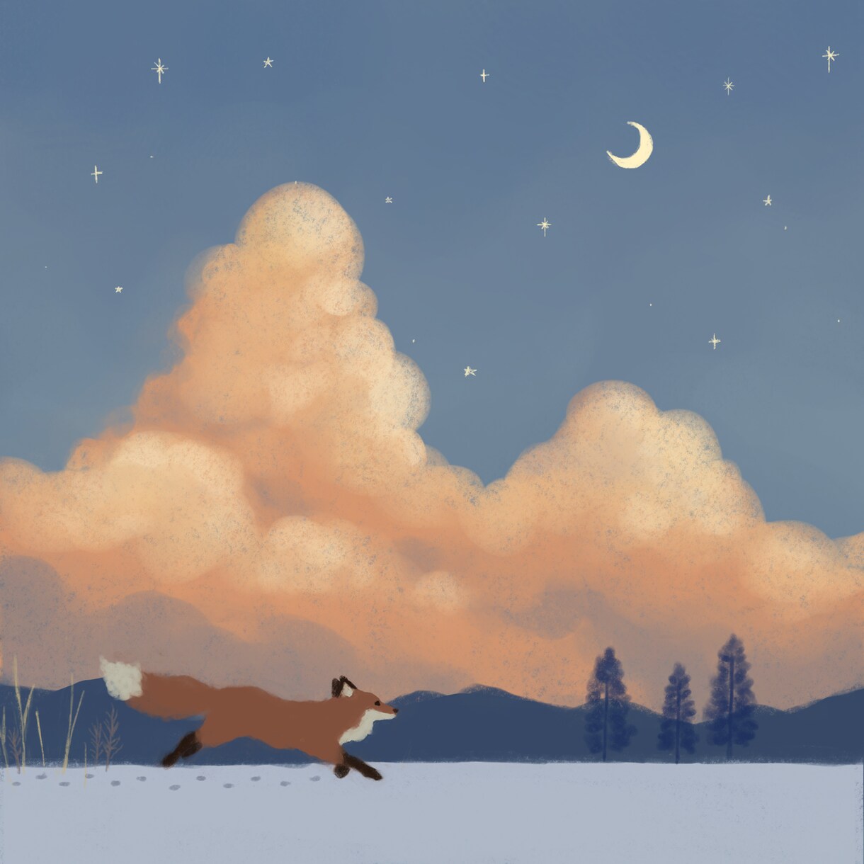 いきもののイラスト描きます 主に北国のいきものを描いています。 イメージ1