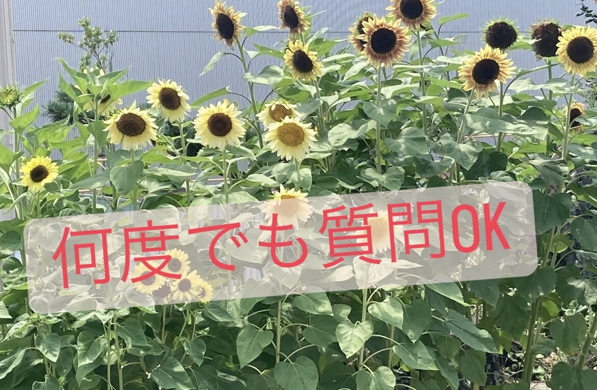 スマホ１つと行動のみでできます ㊙️実践者が歩ん実践型ロードマップ イメージ3