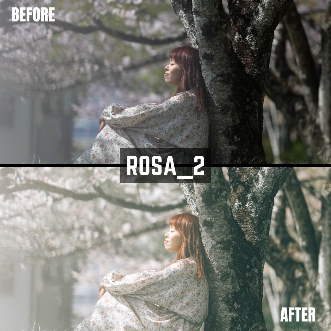 ROSA｜Lightroomプリセット販売します スマホで撮影した写真、ワンタッチで大変身！ イメージ5