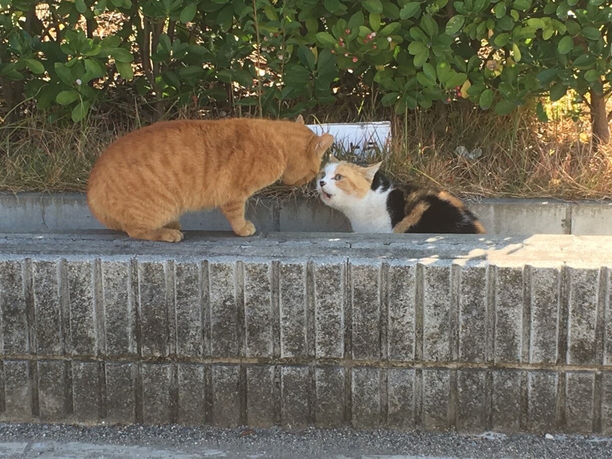 お悩み聞きます！ イメージ1