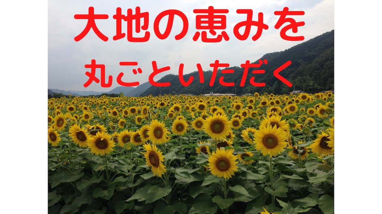 免疫力を高めるための３つの食改善術！伝授いたします 少しでも健康でエネルギーに満ちた人生を過ごされたい方へ！ イメージ3