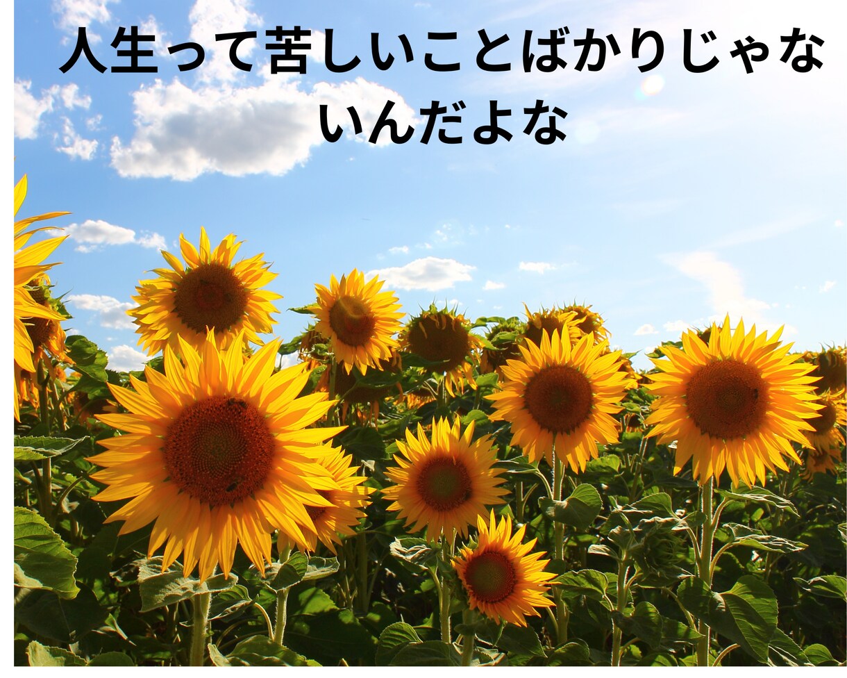好きなことで独立、起業の不安や悩みの相談ます あなたの起業、独立、悩みの相談を私の体験から診断アドバイス イメージ2