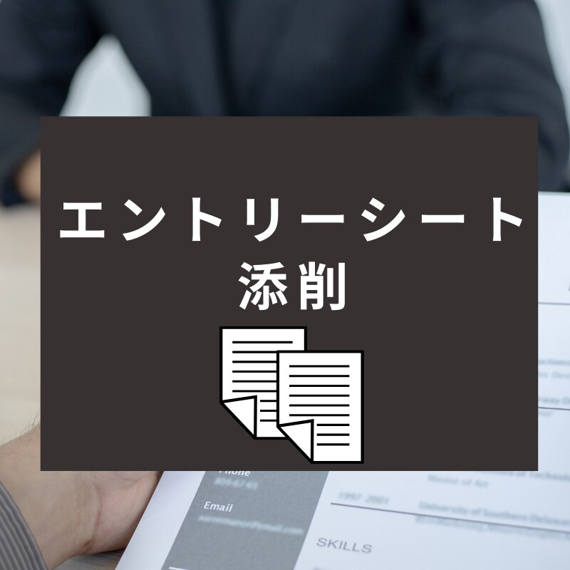 ESを添削してブラッシュアップします ES落ちが続いている方、客観的なアドバイスが欲しい方へ イメージ1
