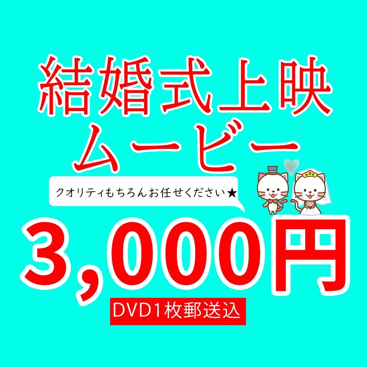 高品質なオリジナル動画、低価格でDVD納品します DVD1枚付き！3組限定、5月末までのお試し価格です！ イメージ1