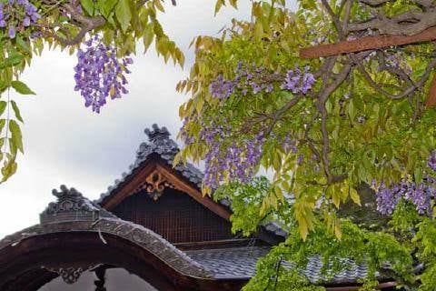 天の羽衣 同業者様へのアドバイス、指導します 同業者の問題解決や、施術の指導やアドバイスを行います。 イメージ1