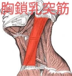 オンライン：ダイエットは【姿勢】で一段階変わります 認定理学療法士が【身体の不均衡】を医療知識で解消します！ イメージ5