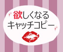 欲しがる心に火をつけます 買いたい!気持ちになっちゃうキャッチコピーいりませんか? イメージ1