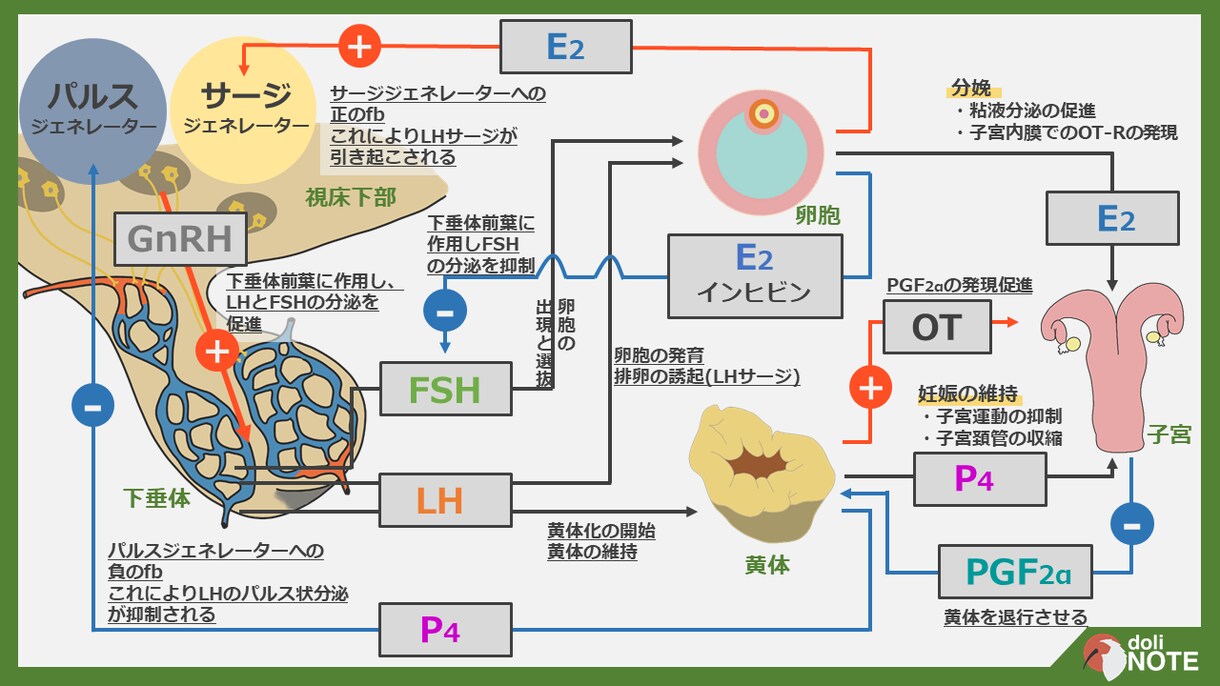 イラストも可！パワポでスライド・資料作ります パッと見て分かりやすいスライドをイラスト付きで イメージ6