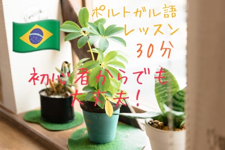 初心者okオンラインでポルトガル語の会話をします ネイティブと、ブラジルポルトガル語で楽しく会話しませんか？ イメージ1