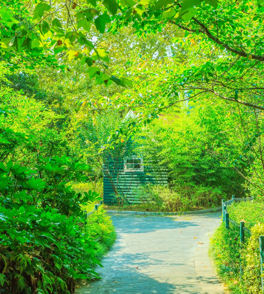 ただ話したい人へ❀優しくそっと寄り添います 1分でも✨否定せず、あなたの気が晴れるまでお聞きします❀ イメージ1