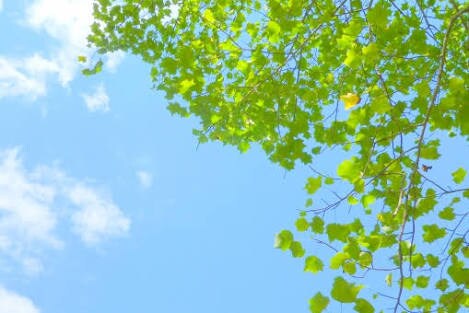 一人で悩まないで。恋愛、人間関係、お話聞きます 何か少しでも心に寄り添う事ができたら嬉しいです。 イメージ1