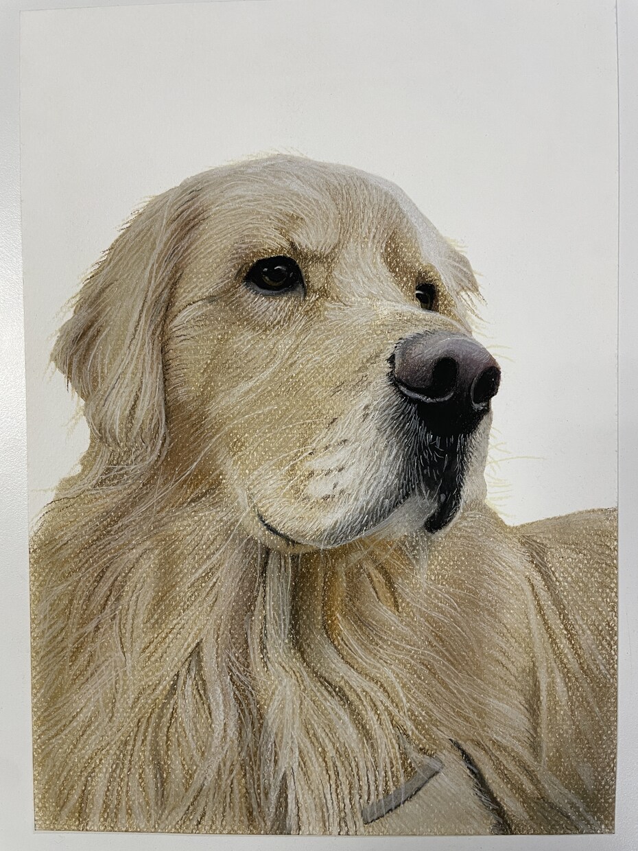 ペットの似顔絵を写真のようにリアルに描きます 犬、猫、うさぎなど動物の肖像画を手描きでリアルに描きます イメージ6