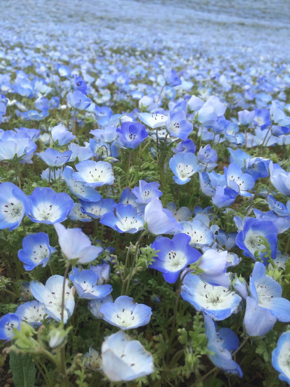 お話しませんか？そのままのあなたを受け止めます 楽しいひとときを一緒に過ごしましょう。 イメージ3