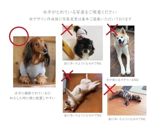 xmasデジタル加工を加えた婚姻届作成します クリスマスツリーの横に可愛くペットを配置します♪ イメージ4