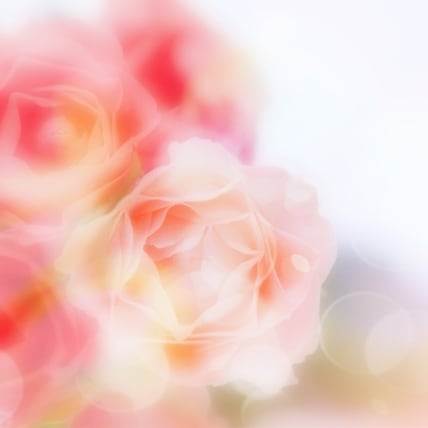 占い師による人生相談　あなたのお話を伺います ご希望によりタロットの鑑定も致します イメージ1