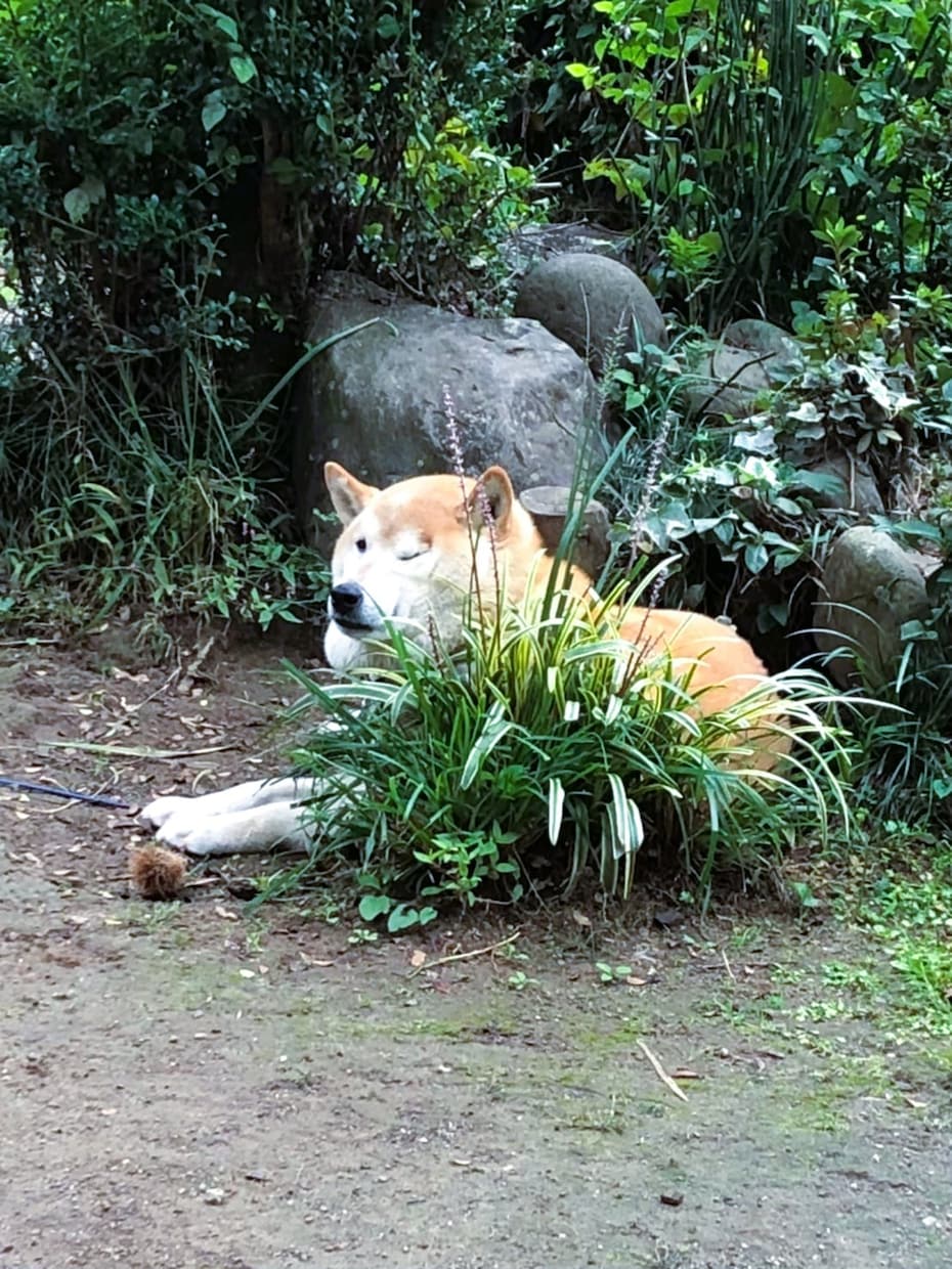 シンママの為のキャリアや不安に寄り添います リスタートした同じシンママの力になりたいと思っています！ イメージ2
