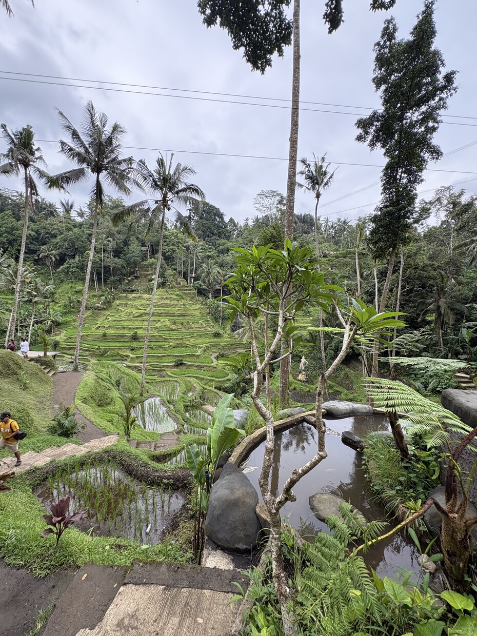 あなただけの旅行プランを考案します 東南アジアを含め２０カ国旅をした経験から旅のプランをサポート イメージ2