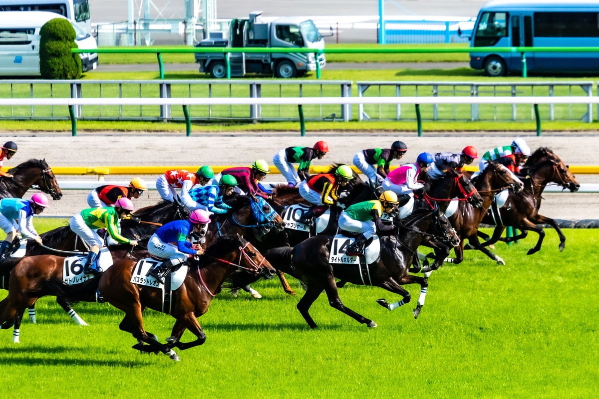 独自のデータ分析！重賞の競馬予想１か月配信します 重賞レースのデータと展開分析で丁寧に予想します【初心者OK】 イメージ1
