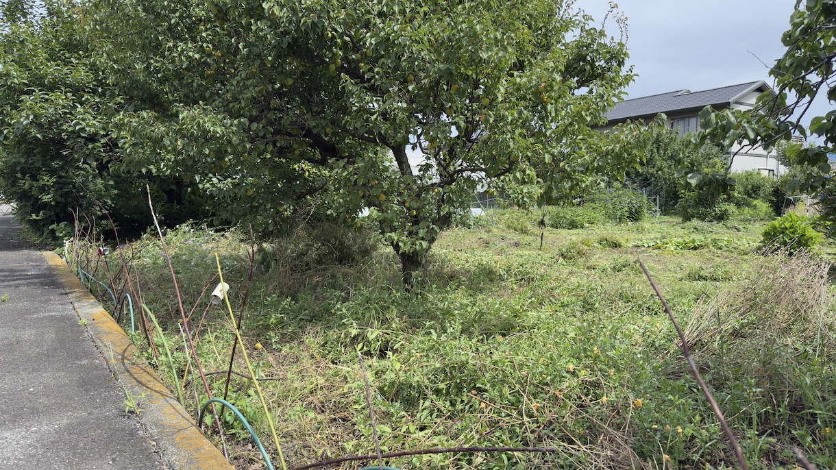 元森林組合×宅建士！空き地の草刈り代行します 立ち会い不要！不動産と山のプロが空き地などの草を刈ります イメージ10