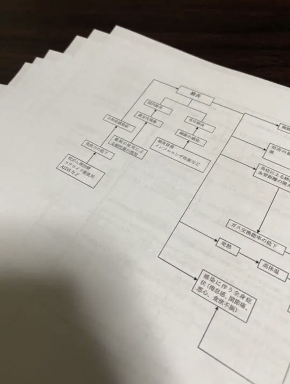 看護学生の勉強、実習のサポートします 看護実習 看護計画・診断 関連図 アセスメントケースレポート イメージ6