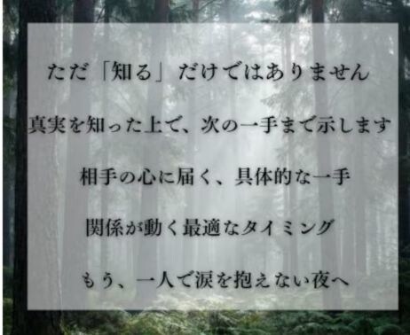 隠されている彼の気持ちを深層心理解読術で見抜きます 月光霊視で彼の本音を知りあなたの運命を望む未来へ導きます イメージ4