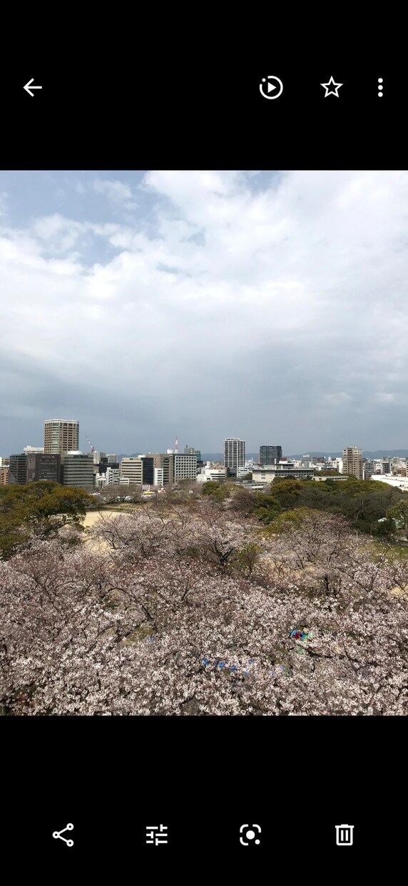 節約や健康のアドバイスをサポート致します 自分独自の考えをアドバイス致します。 イメージ1