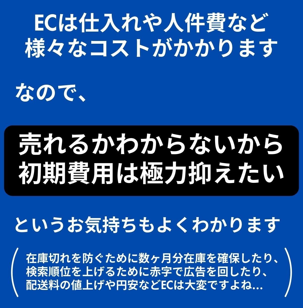 Shopify構築/EC経験4年のプロが制作します 格安Shopify制作代行 / 1ヶ月の運用サポート付き イメージ8
