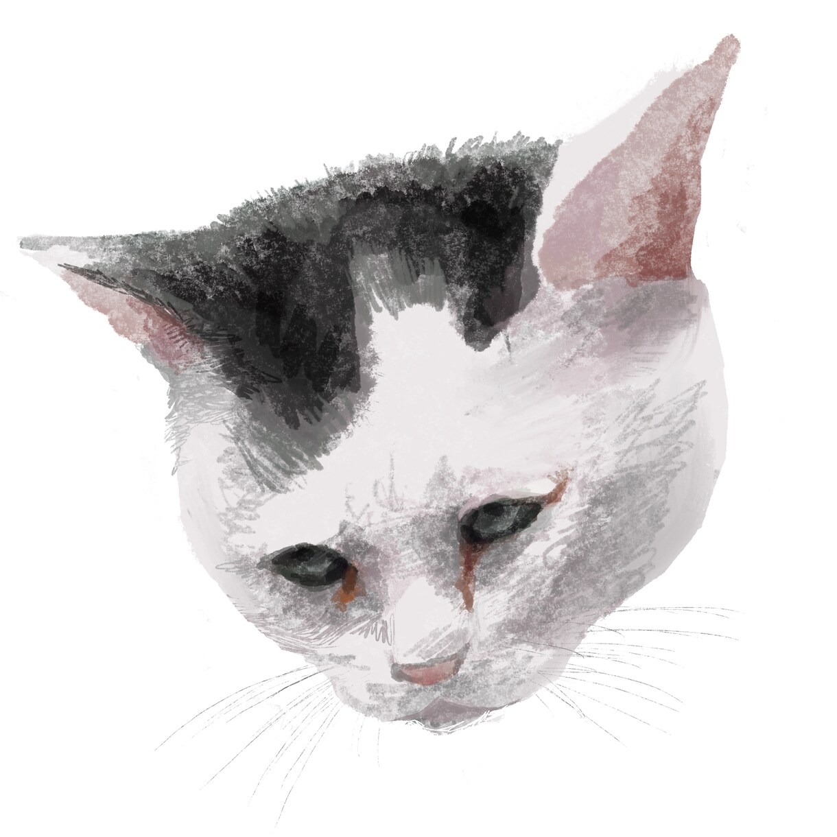 動物のイラストかきます 大切な動物のお友達をそのままイラストに！ イメージ3