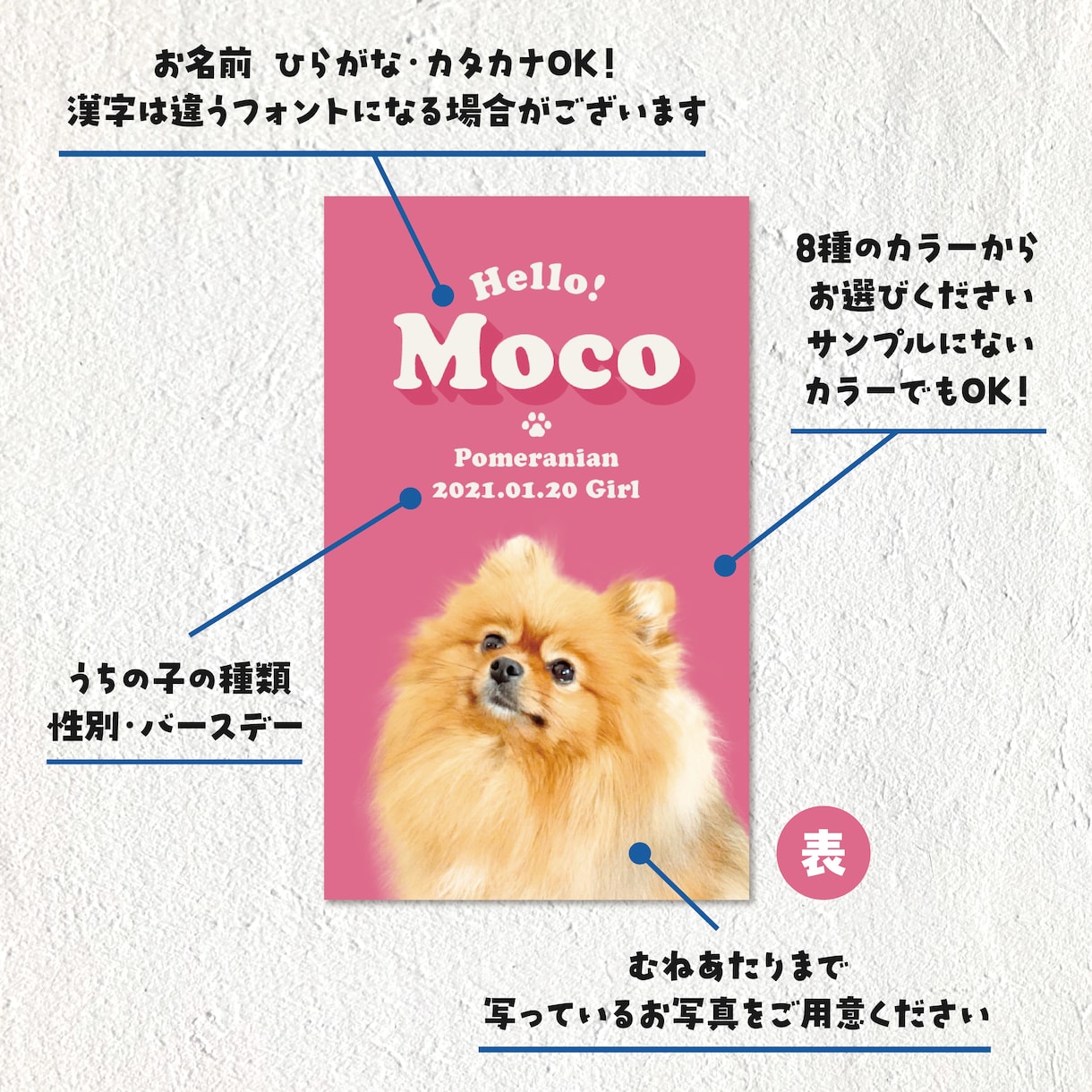 レトロポップなうちの子・ペット名刺制作します 100枚印刷代込み・送料無料！イベント・オフ会で大活躍！ イメージ3