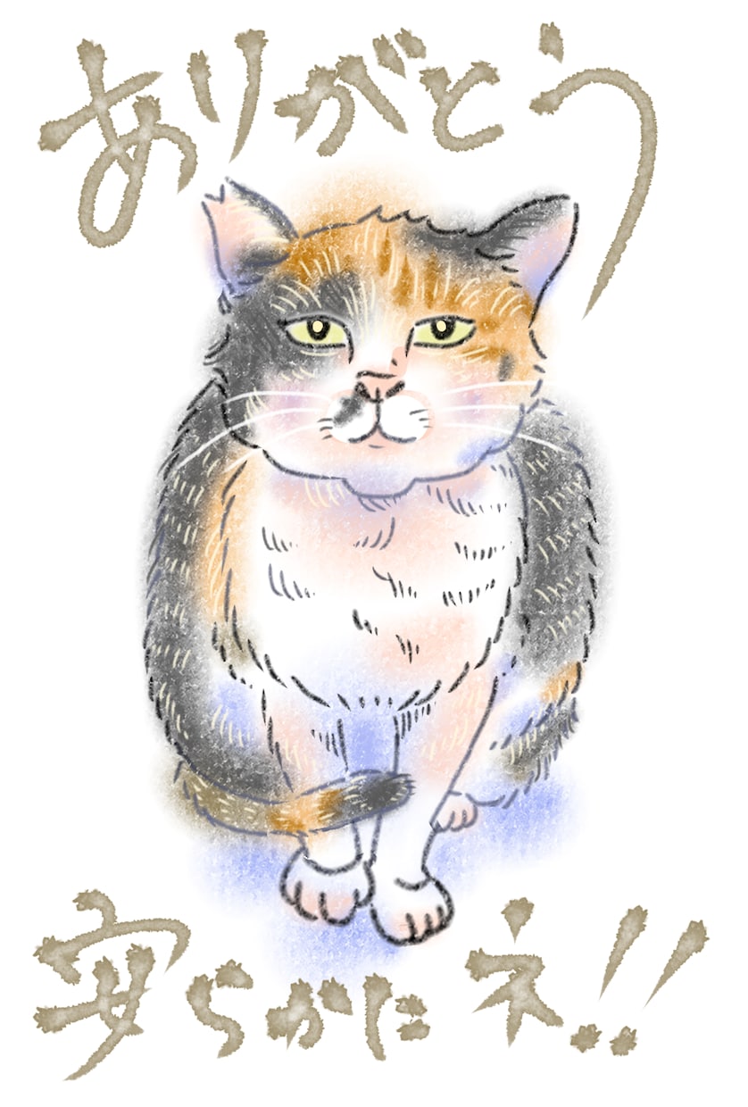 猫のイラスト描きます 可愛くポップな猫イラストで目を引きたい! イメージ2