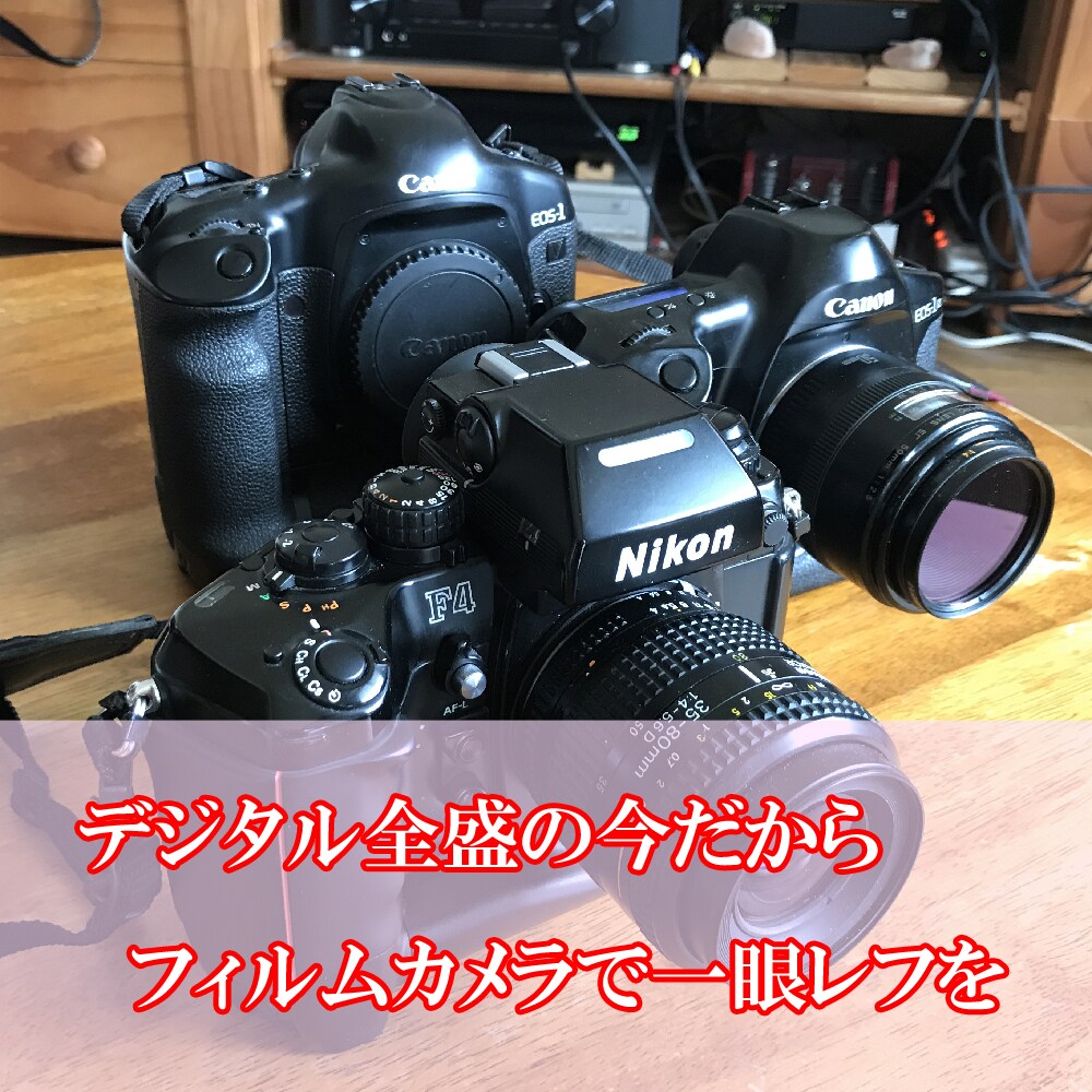 フィルムカメラの使いこなしの基礎をお教えします デジタル全盛の今だからこそできる！フィルム一眼レフでの勉強を イメージ3